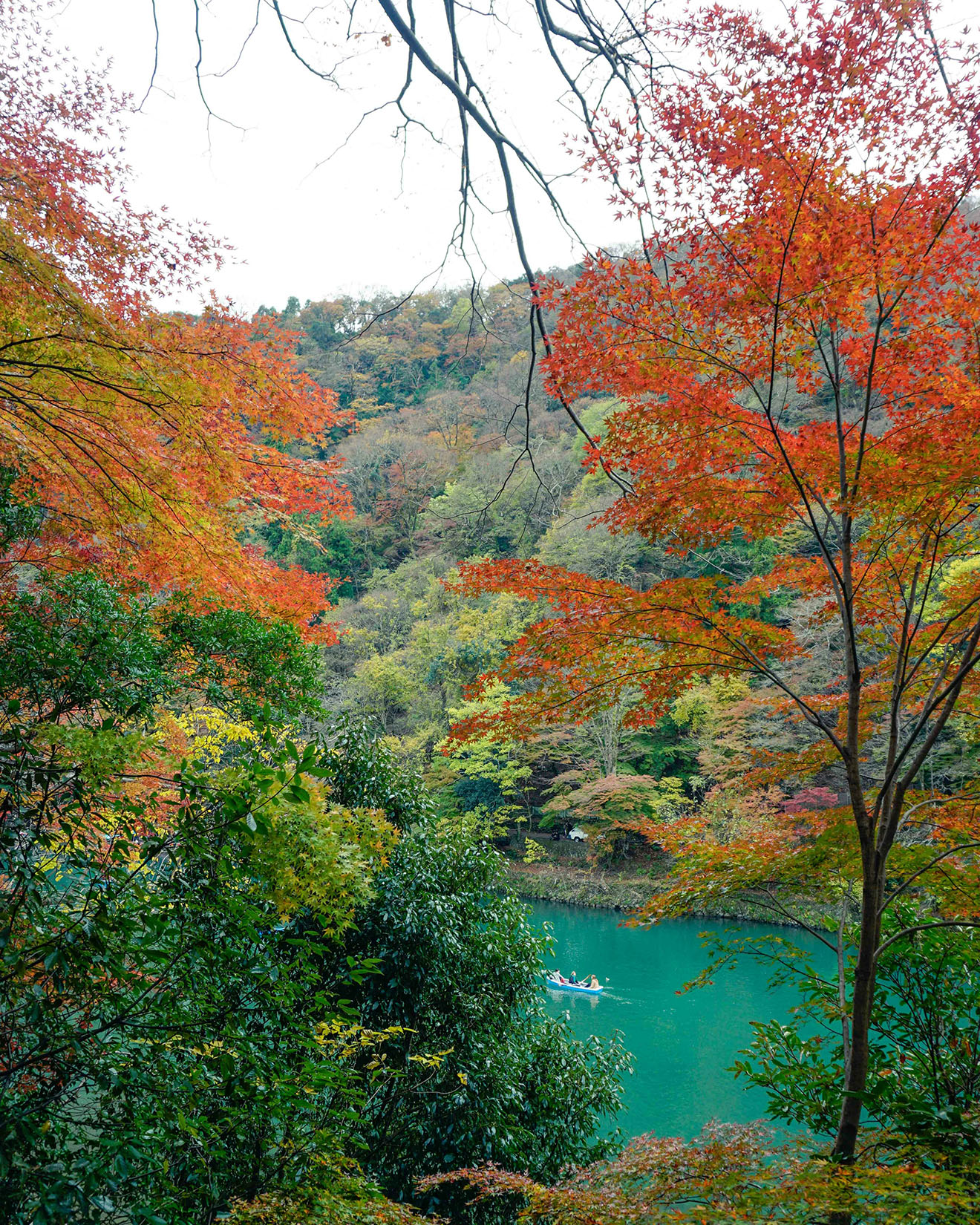 京都嵐山秋日景色