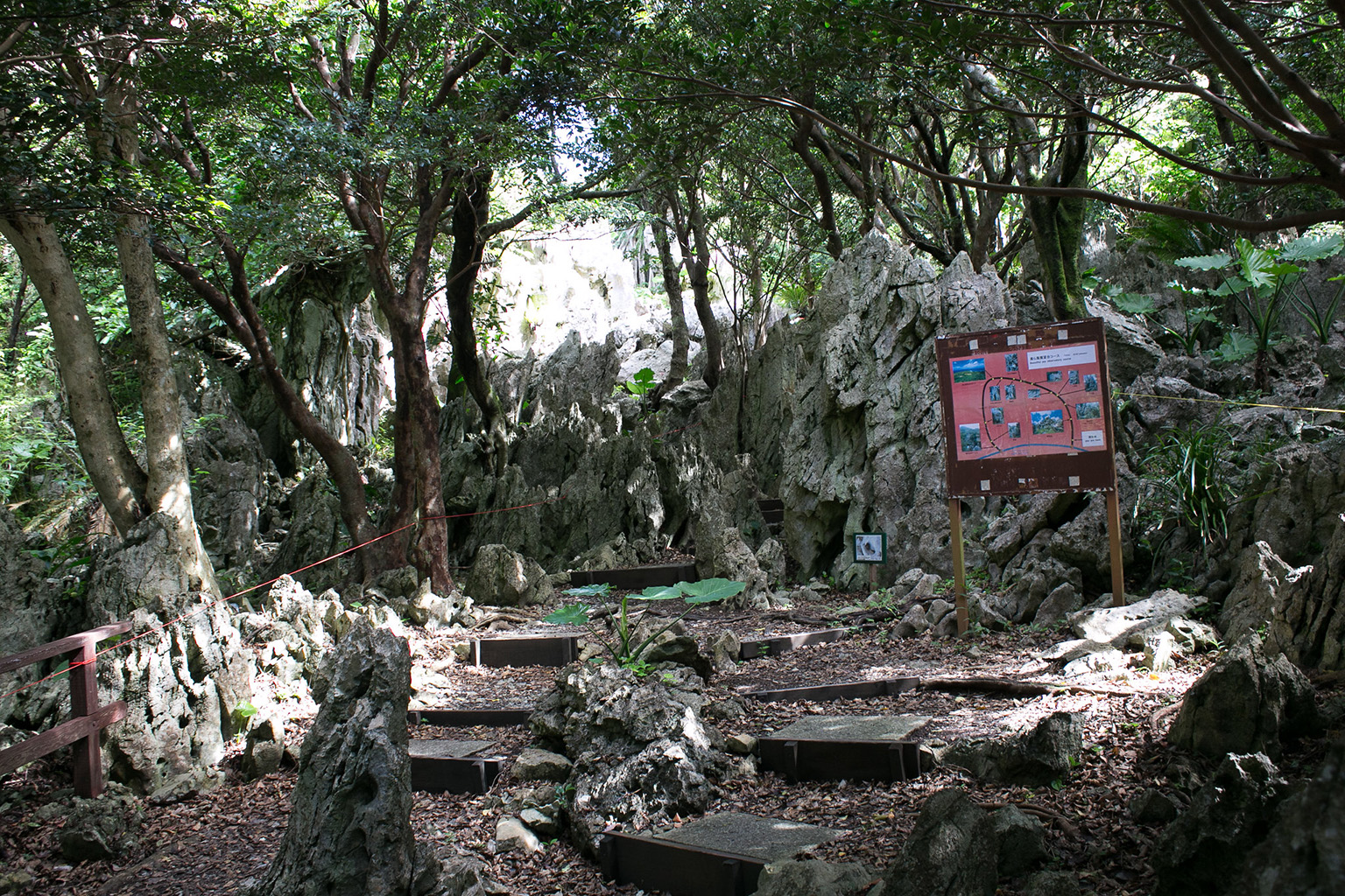 沖繩北部景點-大石林山