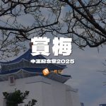 中正紀念堂賞梅2025