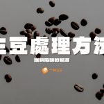 生豆處理方法